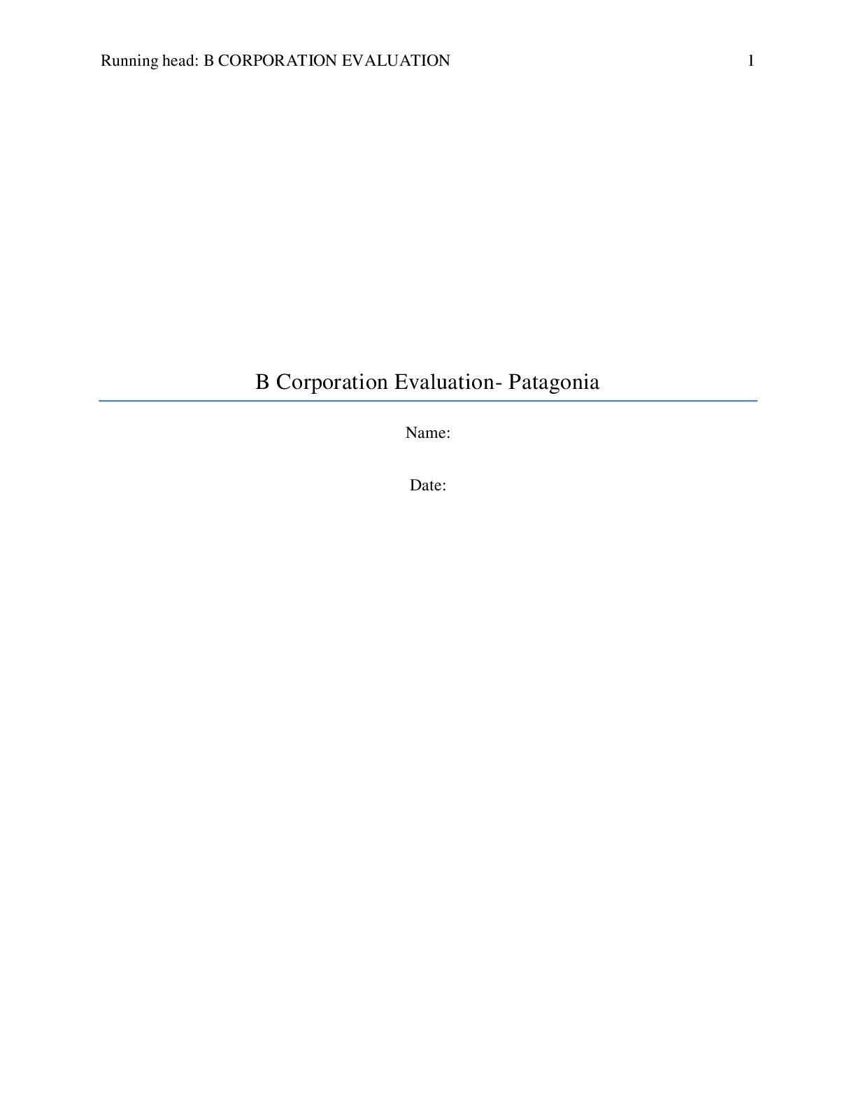 Preview image for B Corporation Evaluation- Patagonia